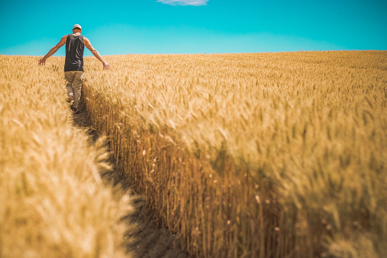 Cultivating the Future: Exploring Hemp, Mushrooms, and Superfoods to Diversify Farm Income