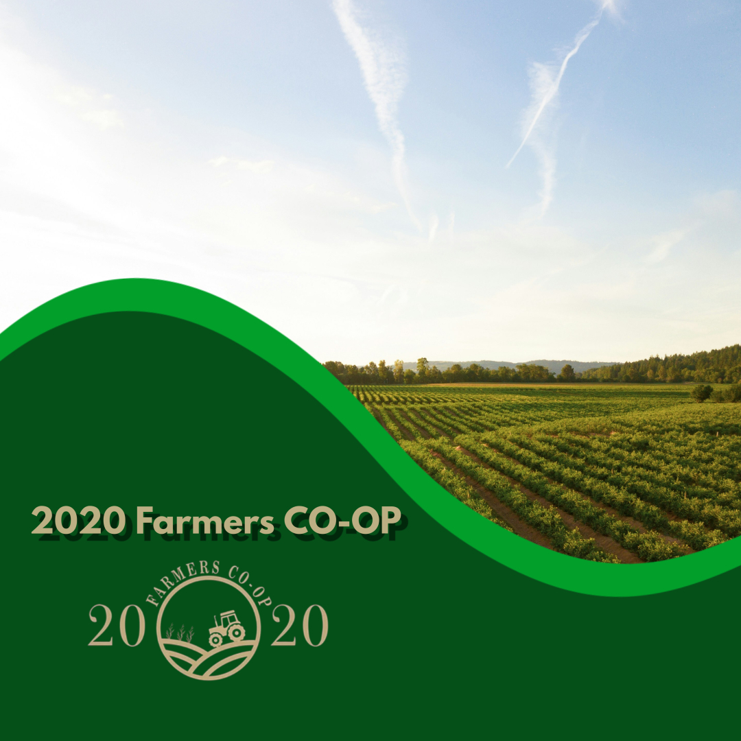 🌾 Empowering Small-Scale Farmers: A Spotlight on 2020 Farmers Cooperative