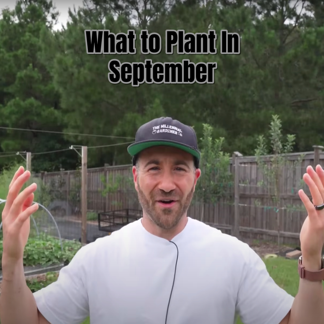 What to Plant In September