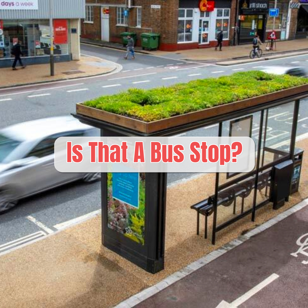 Green Roofs on Bus Stops?